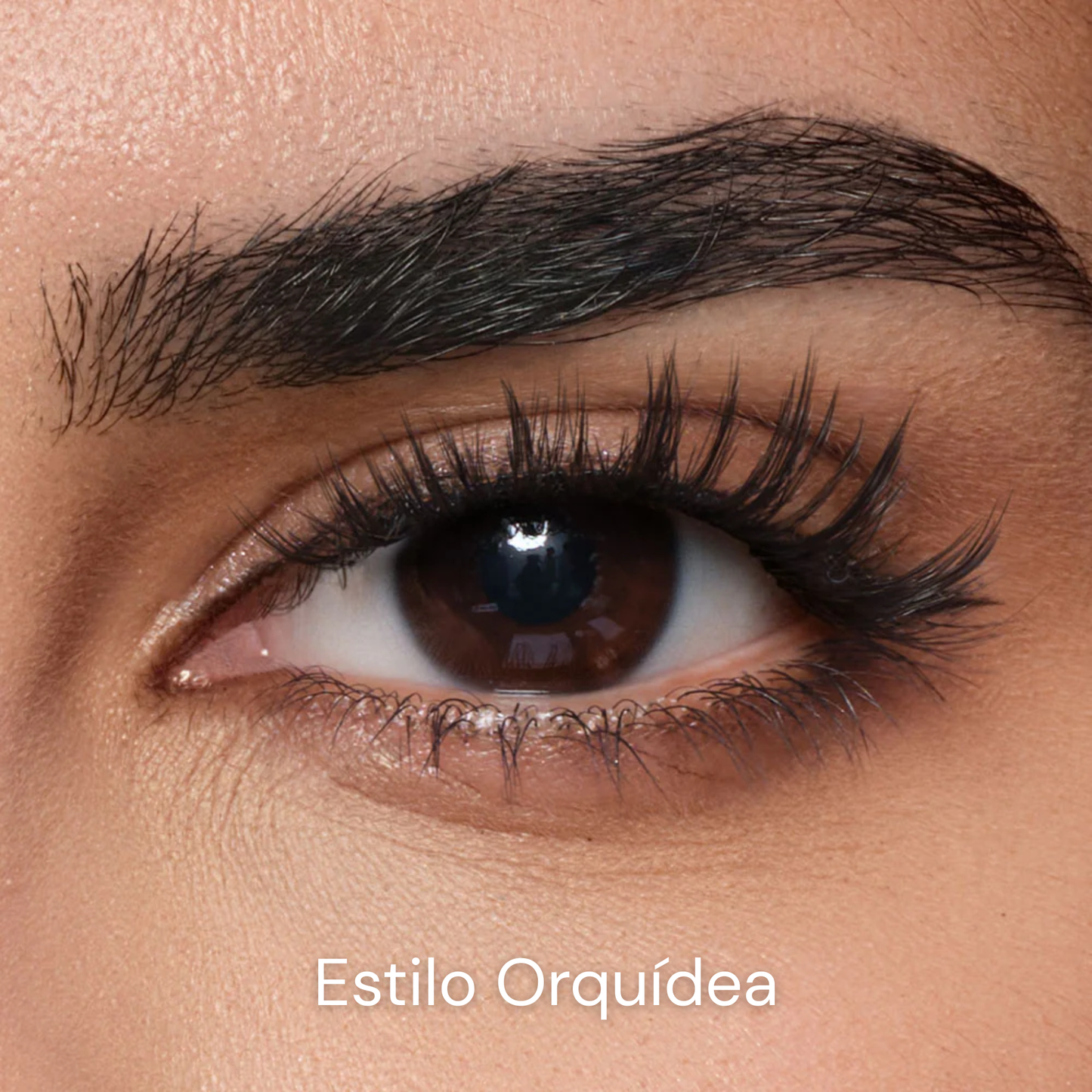 Pestañas Magnéticas Reutilizables | novalash™